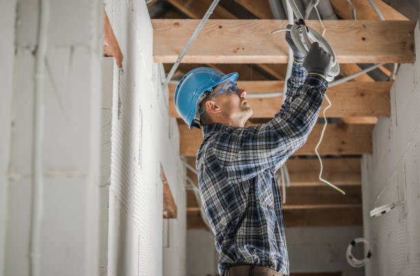 Best Residential Electrician Services  in Louisburg, KS