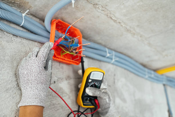Best Generator Installation Services  in Louisburg, KS