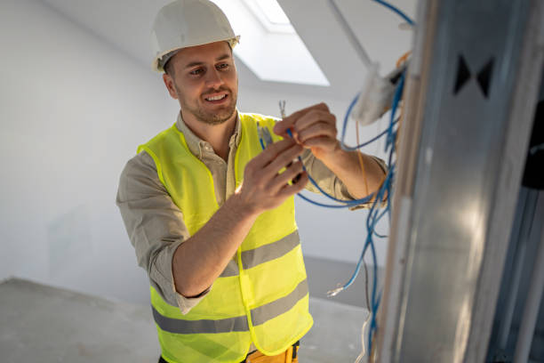 Best Electric Panel Repair  in Louisburg, KS