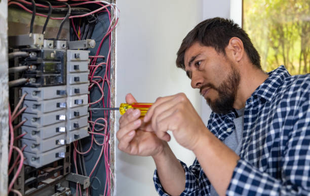 Best Electrical Rewiring Services  in Louisburg, KS
